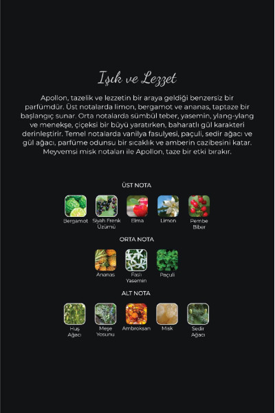 Apollon EDP Erkek Parfüm, 50ml