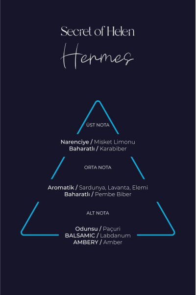 Hermes EDP Erkek Parfüm, 50ml